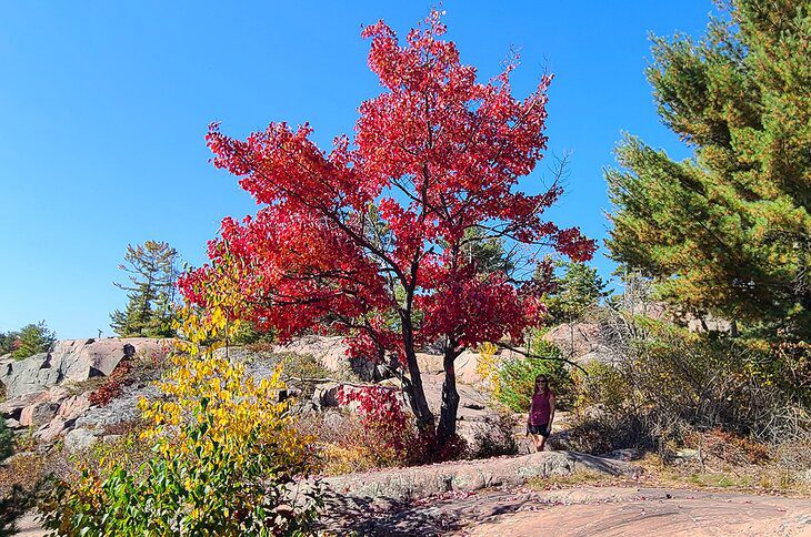 9 Best Hikes in Killarney Provincial Park, ON