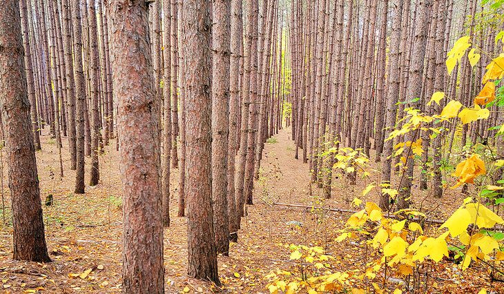 9 Best Hikes in Killarney Provincial Park, ON