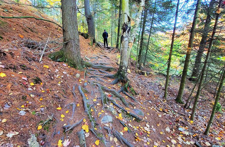 9 Best Hikes in Killarney Provincial Park, ON