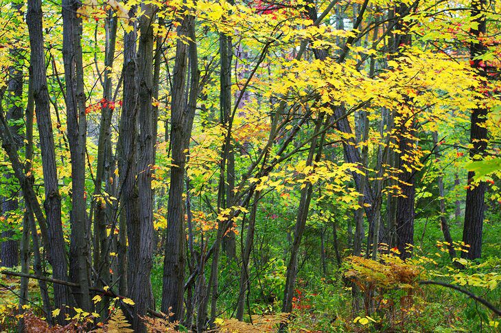 9 Best Hikes in Killarney Provincial Park, ON