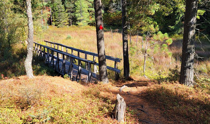 9 Best Hikes in Killarney Provincial Park, ON