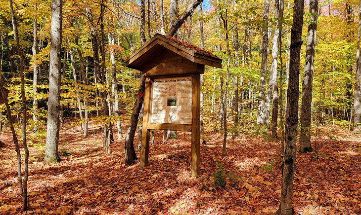 9 Best Hikes in Killarney Provincial Park, ON