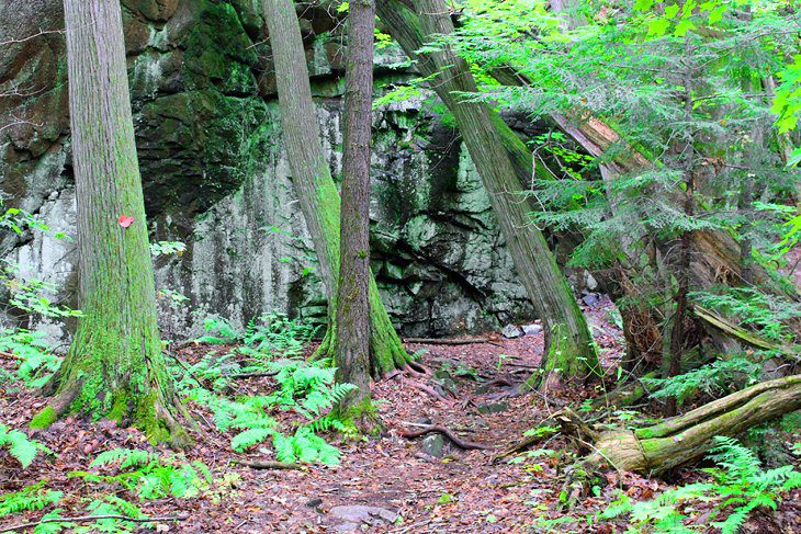 9 Best Hikes in Killarney Provincial Park, ON