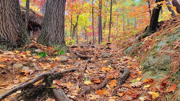 9 Best Hikes in Killarney Provincial Park, ON