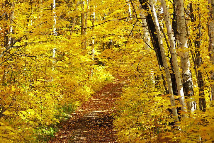 9 Best Hikes in Killarney Provincial Park, ON