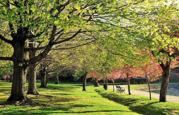 9 Best Parks in Boston