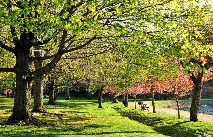 9 Best Parks in Boston