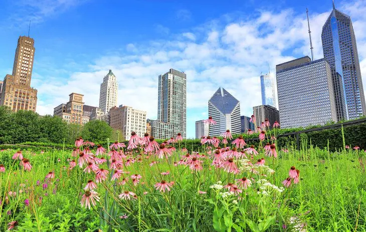 9 Best Parks in Chicago