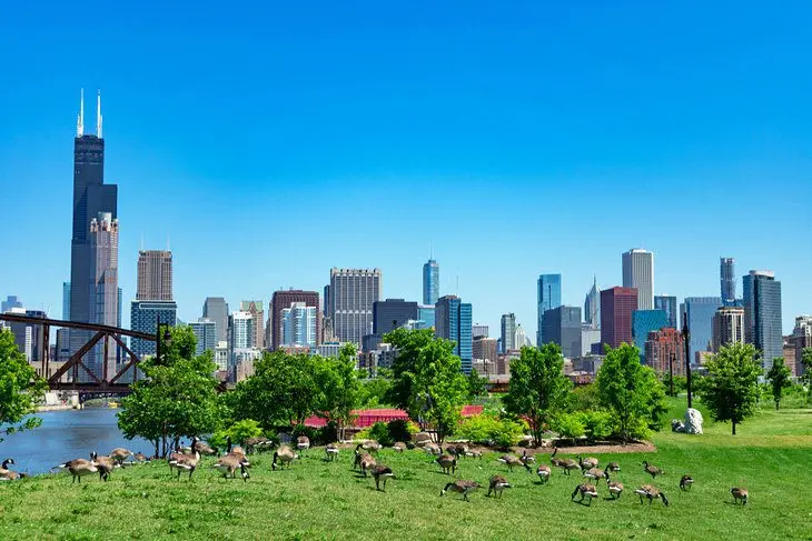 9 Best Parks in Chicago