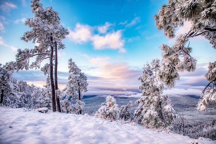 9 Best Places to See Snow in Arizona