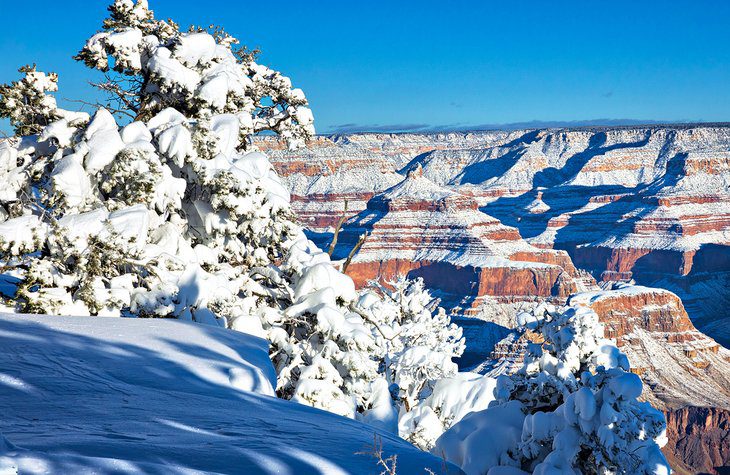 9 Best Places to See Snow in Arizona