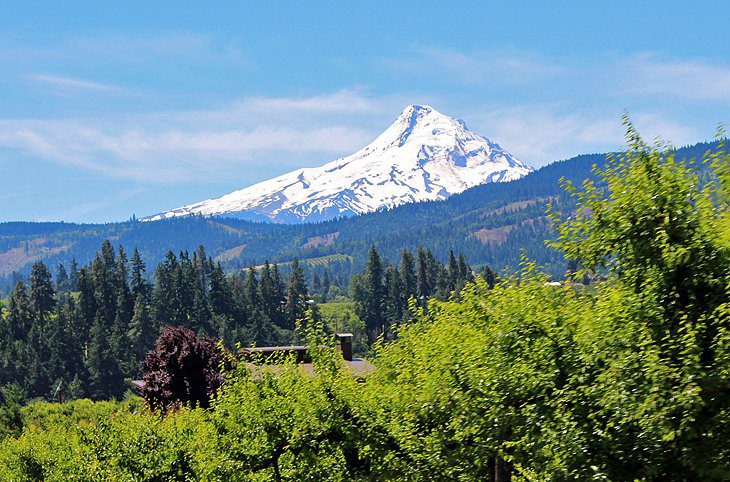 9 Top-Rated Attractions & Things to Do in Hood River, OR