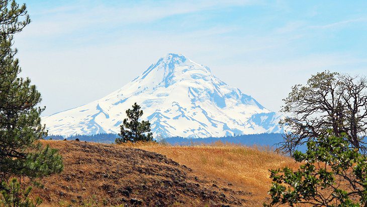 9 Top-Rated Attractions & Things to Do in Hood River, OR