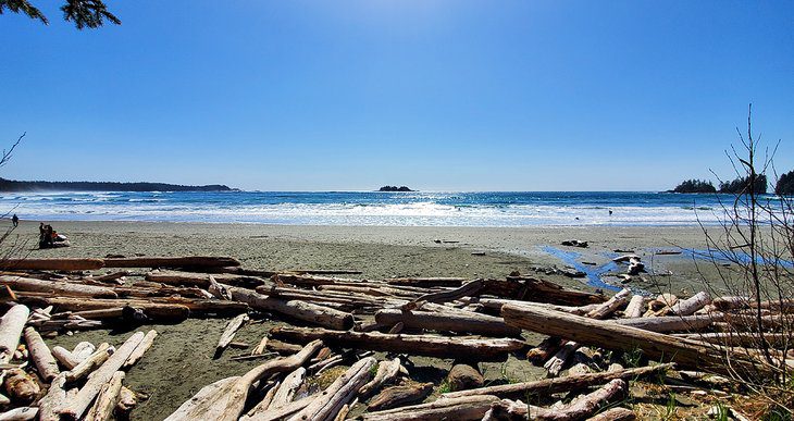 9 Top-Rated Beaches in Tofino