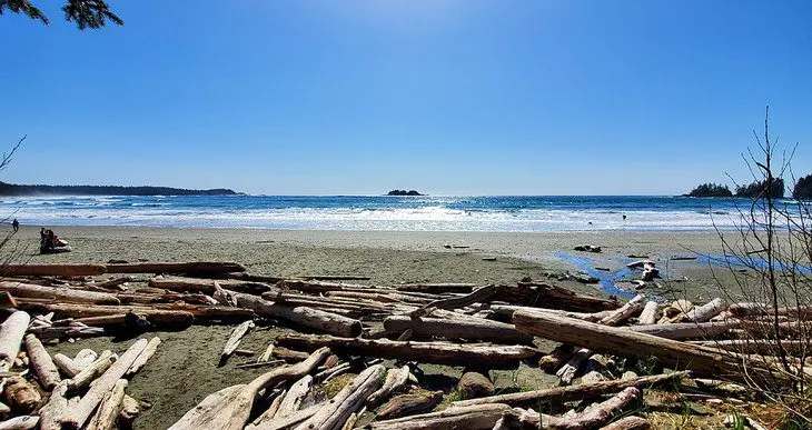 9 Top-Rated Beaches in Tofino