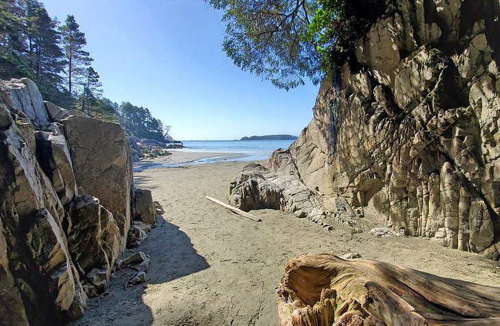 9 Top-Rated Beaches in Tofino