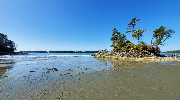 9 Top-Rated Beaches in Tofino