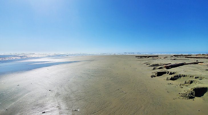 9 Top-Rated Beaches in Tofino