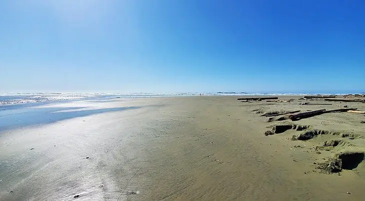 9 Top-Rated Beaches in Tofino