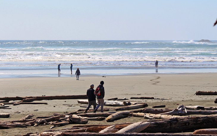 9 Top-Rated Beaches in Tofino