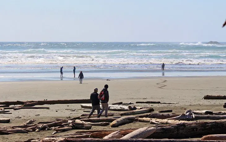 9 Top-Rated Beaches in Tofino