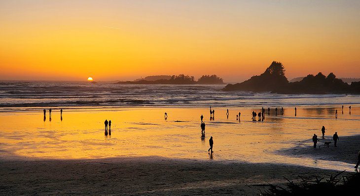 9 Top-Rated Beaches in Tofino