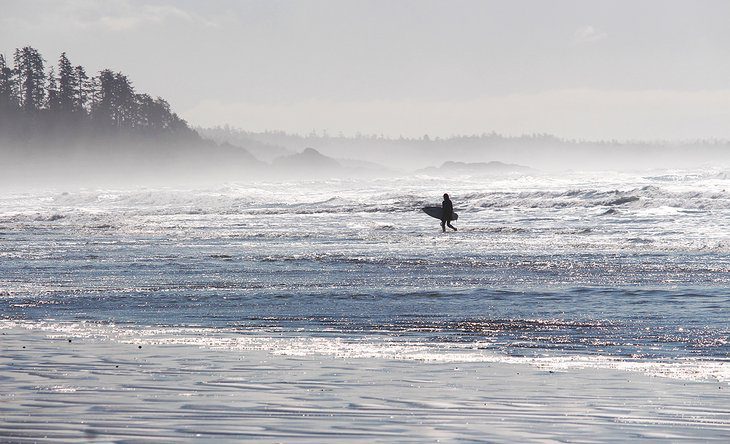 9 Top-Rated Beaches in Tofino