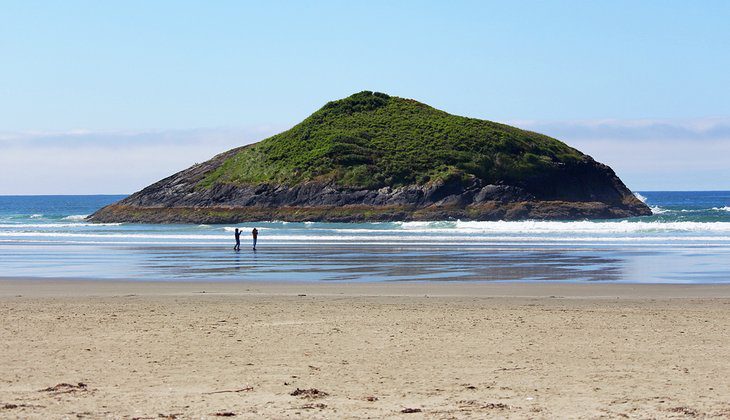 9 Top-Rated Beaches in Tofino