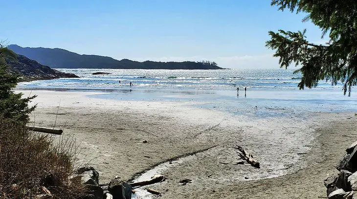 9 Top-Rated Beaches in Tofino