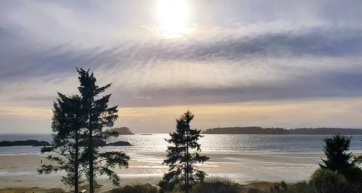 9 Top-Rated Beaches in Tofino