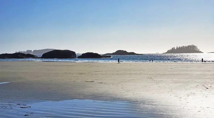 9 Top-Rated Beaches in Tofino