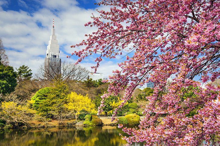 9 Top-Rated Day Trips from Tokyo