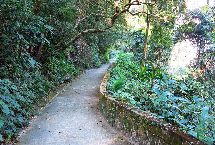 9 Top-Rated Hikes & Walks in Hong Kong