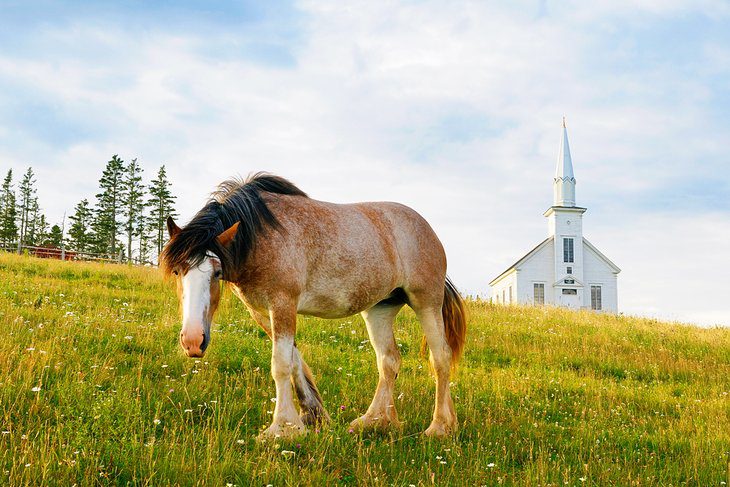 9 Top-Rated Tourist Attractions on Cape Breton Island