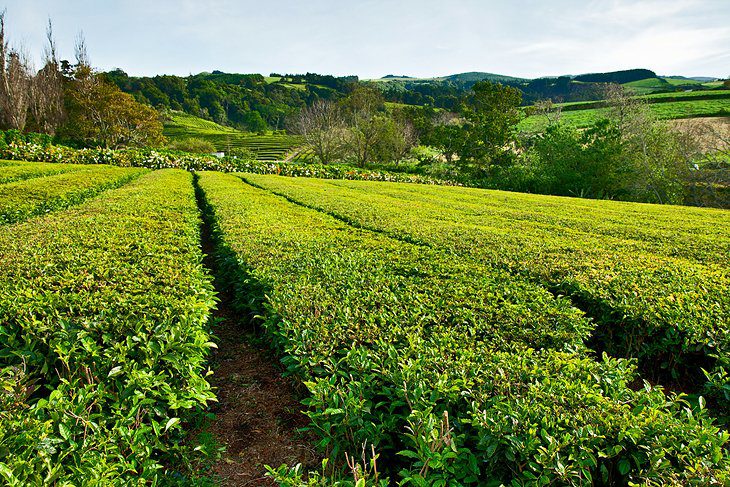 9 Top Tourist Attractions in Ponta Delgada & Easy Day Trips