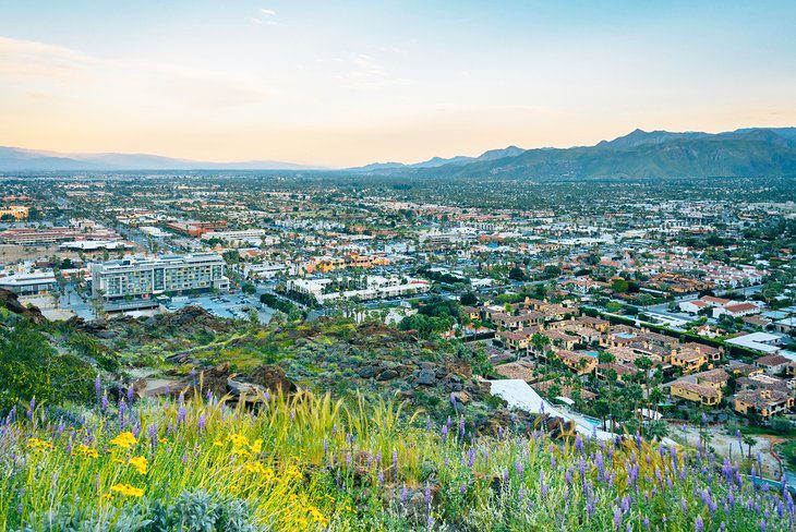 A Visitors Guide to Exploring Downtown Palm Springs, CA