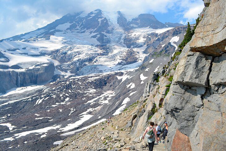 A Visitors Guide to Paradise at Mount Rainier National Park