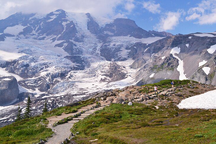 A Visitors Guide to Paradise at Mount Rainier National Park