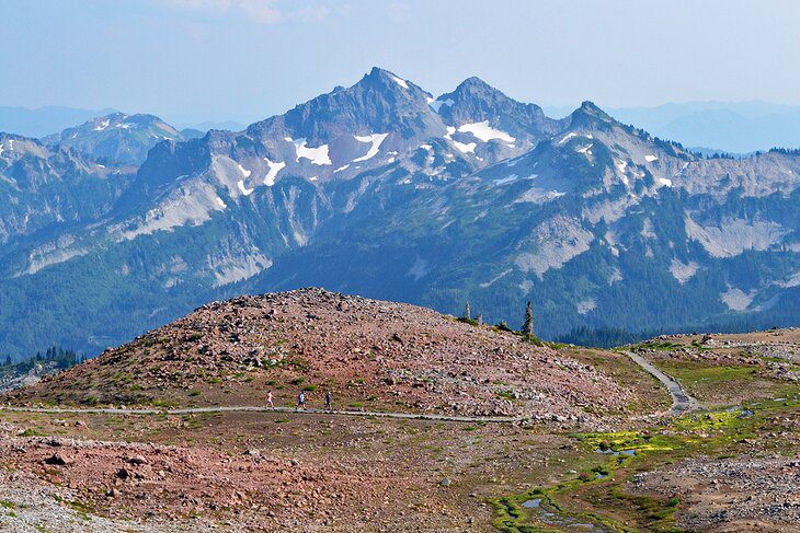 A Visitors Guide to Paradise at Mount Rainier National Park