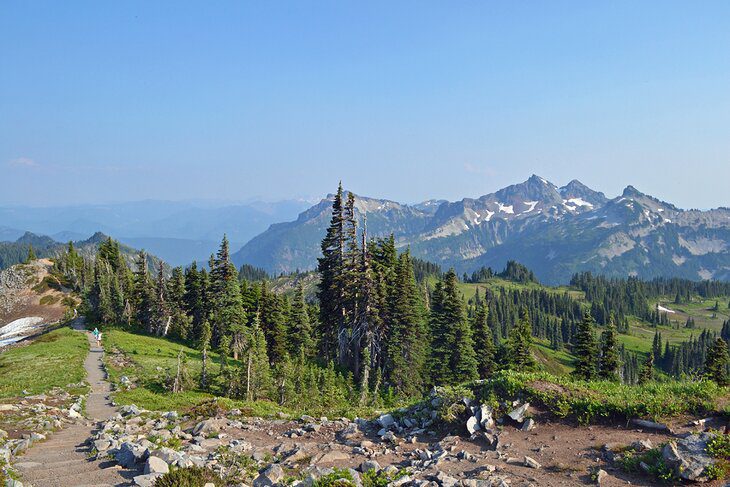 A Visitors Guide to Paradise at Mount Rainier National Park