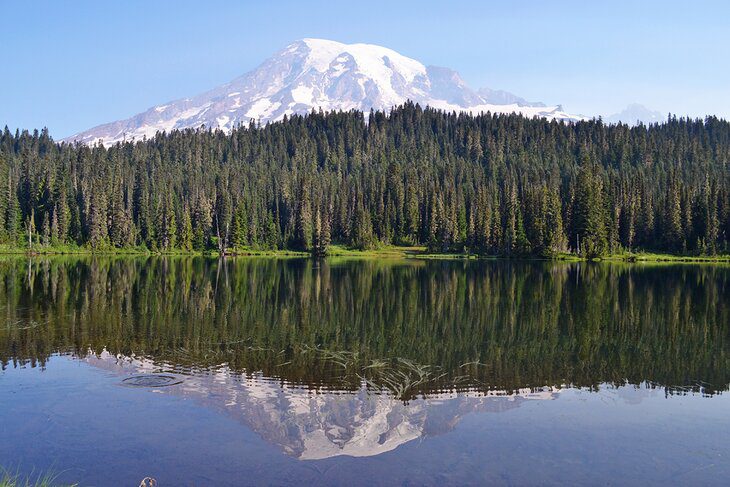 A Visitors Guide to Paradise at Mount Rainier National Park