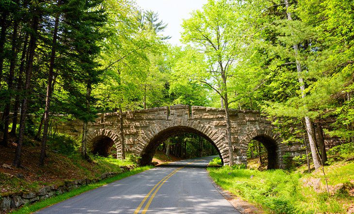 Acadia National Park: 16 Top Things to Do