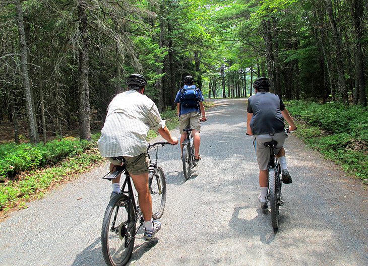 Acadia National Park: 16 Top Things to Do