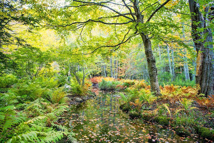 Acadia National Park: 16 Top Things to Do