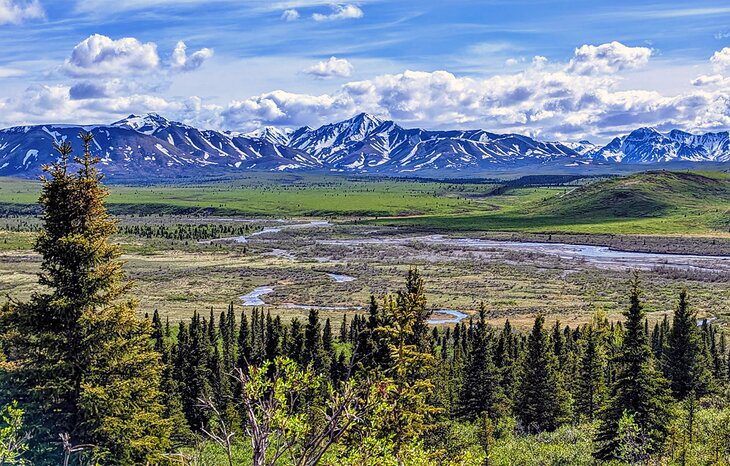 Alaska Road Trip: Driving from Anchorage to Denali National Park