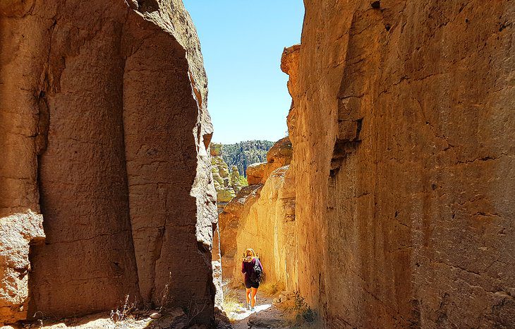 Arizona in Pictures: 19 Beautiful Places to Photograph