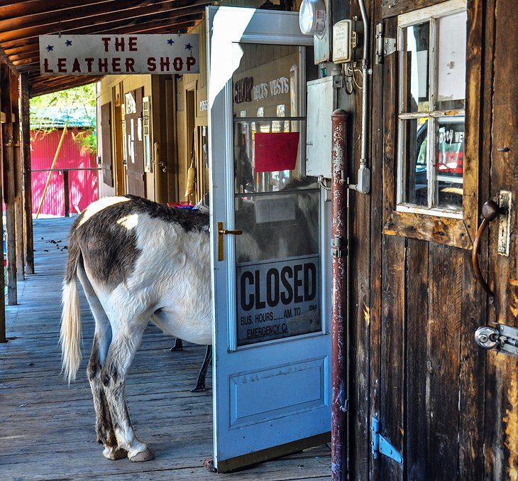 Arizona in Pictures: 19 Beautiful Places to Photograph