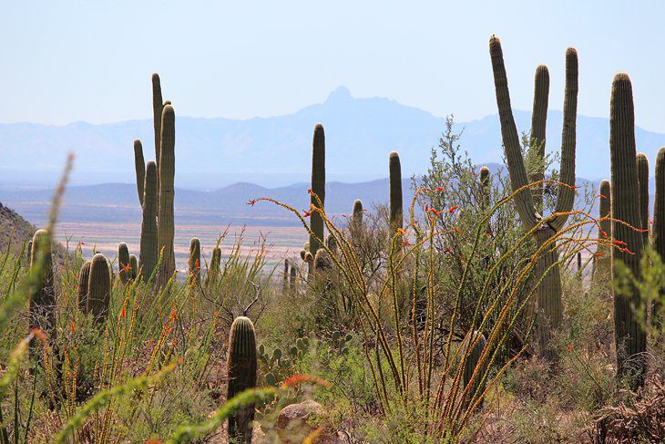 Arizona in Pictures: 19 Beautiful Places to Photograph