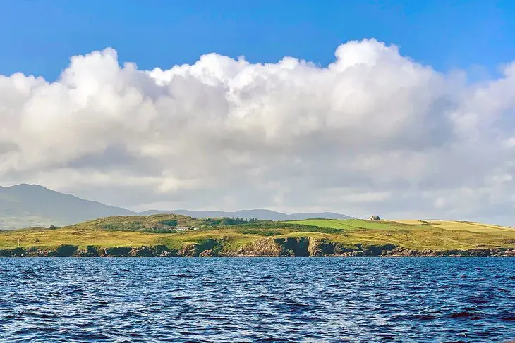 Atlantic Bluefin Tuna & Coastal Fishing in Ireland