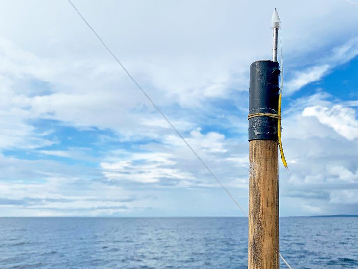 Atlantic Bluefin Tuna & Coastal Fishing in Ireland